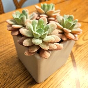 NWT Succulent Artificial Plant Arrangement in Square White Pot 5.4" By Mainstays